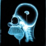 HomerX Ray 150x150 Free X Ray Recycling